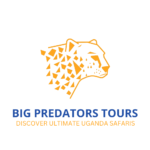 Website design services for tour companies